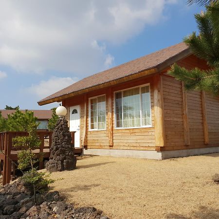 Jeju Bille Log Pension Seogwipo Zewnętrze zdjęcie
