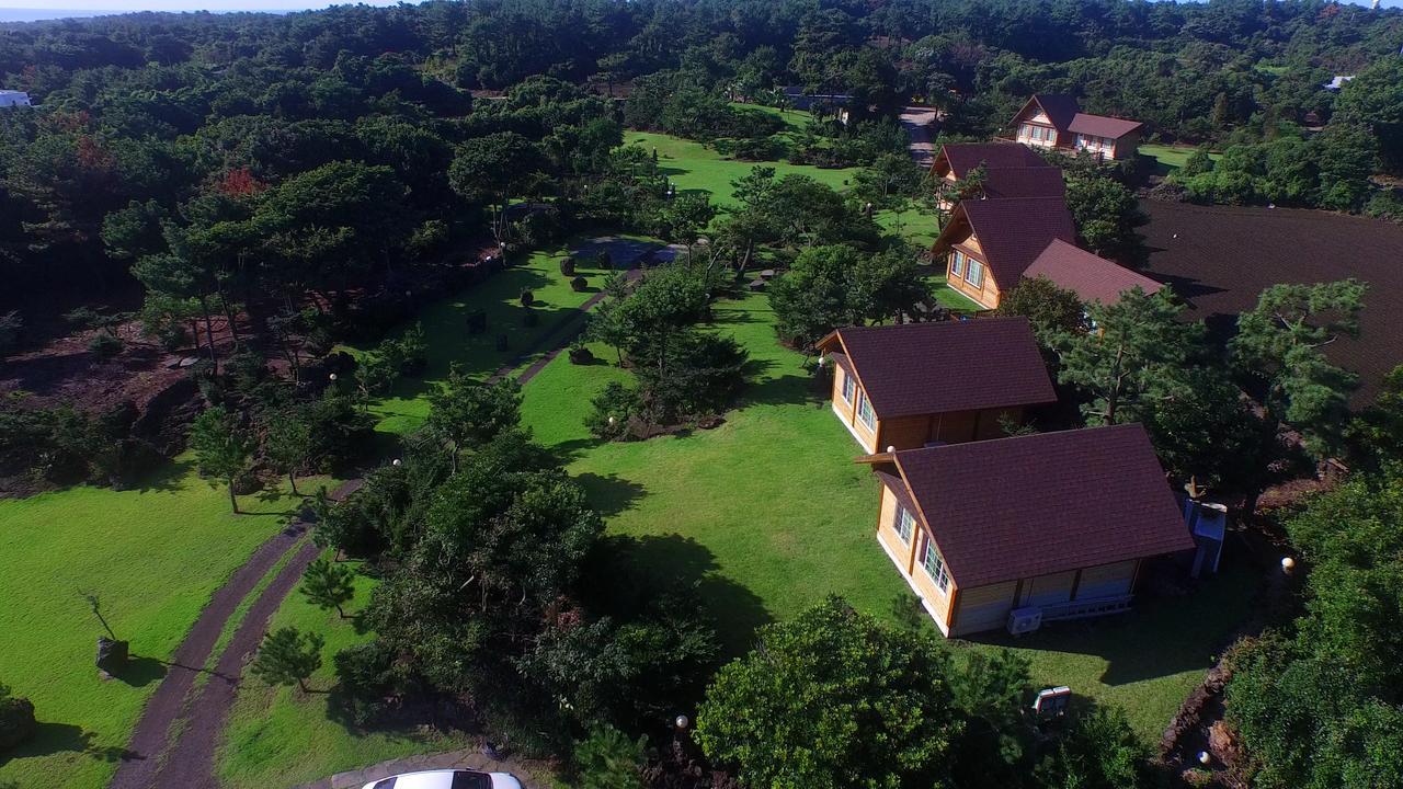 Jeju Bille Log Pension Seogwipo Zewnętrze zdjęcie