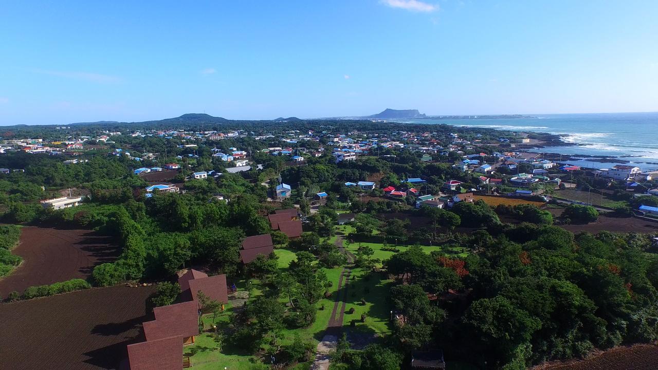 Jeju Bille Log Pension Seogwipo Zewnętrze zdjęcie