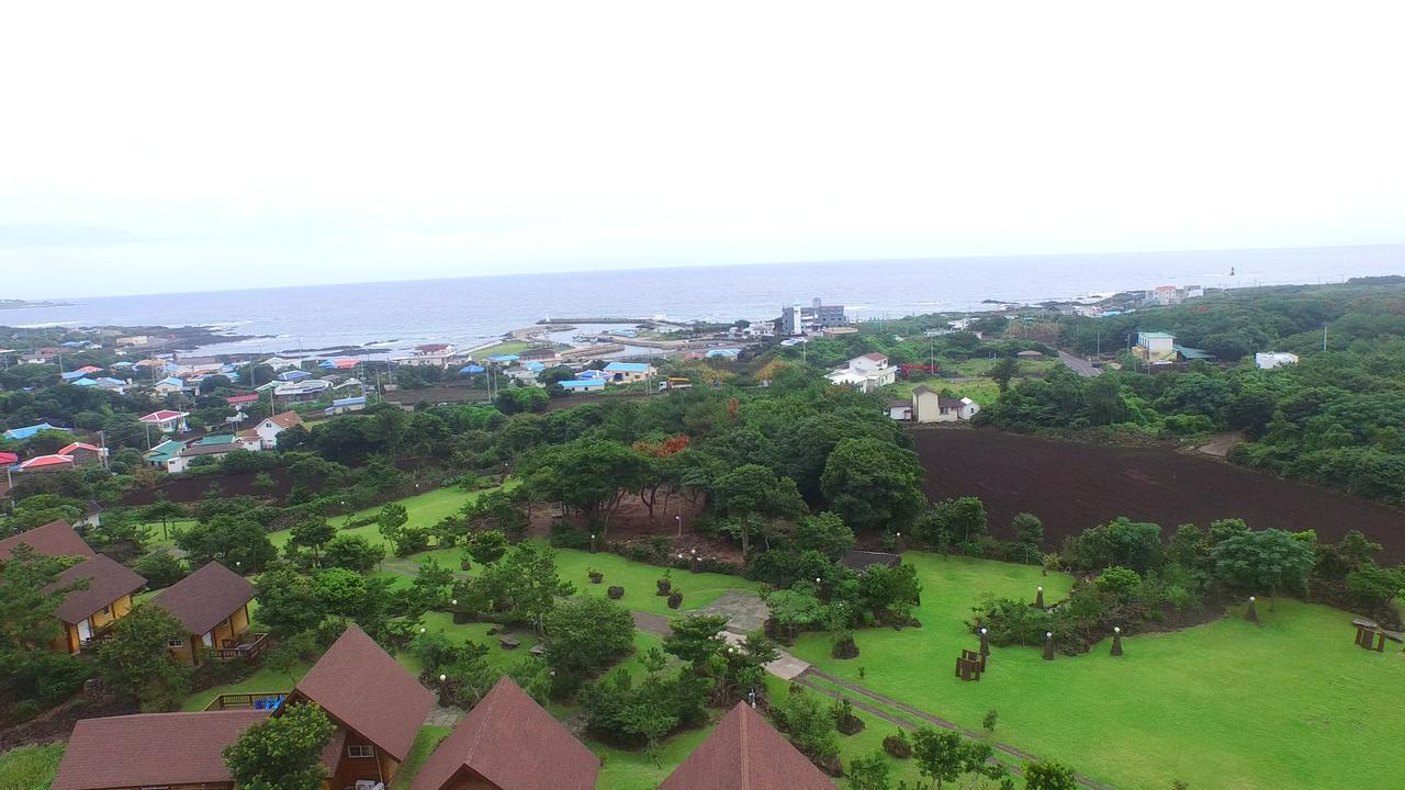 Jeju Bille Log Pension Seogwipo Zewnętrze zdjęcie